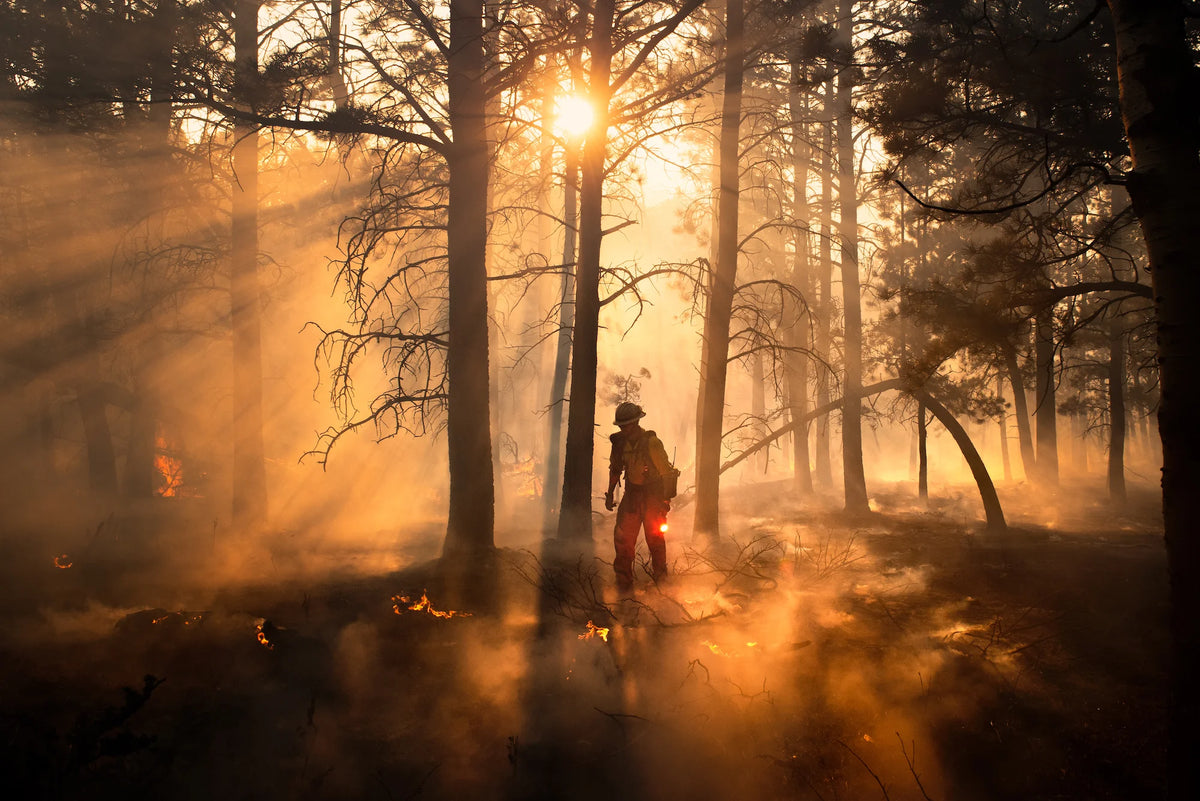 A wildland firefighter with the wyoming hotshots walking through a burning forest holding a flare. Photo by Kyle Miller